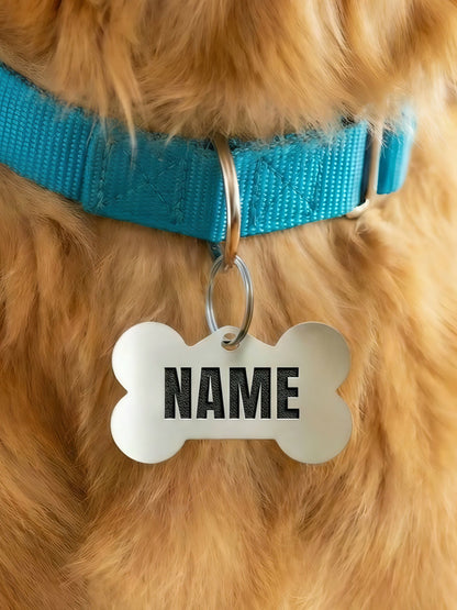 Dog wearing a blue collar with a name tag on a blurred background