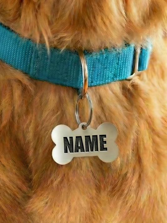 Dog wearing a blue collar with a name tag on a soft background