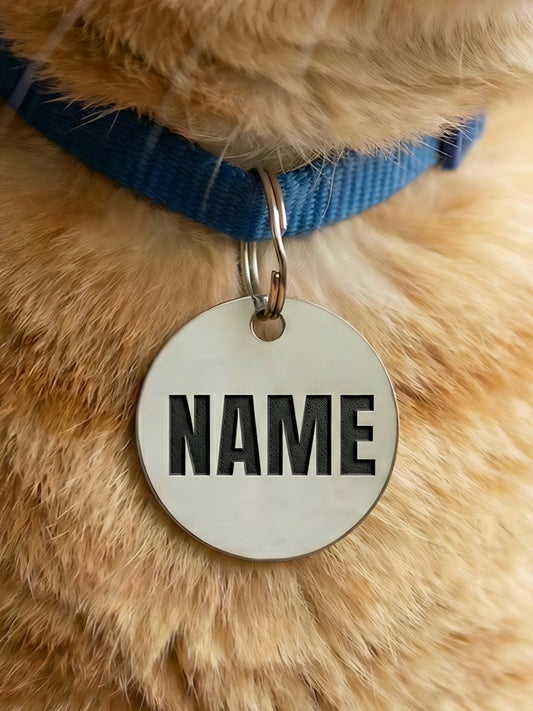Close-up of a cat wearing a blue collar with a name tag labeled 'NAME'.